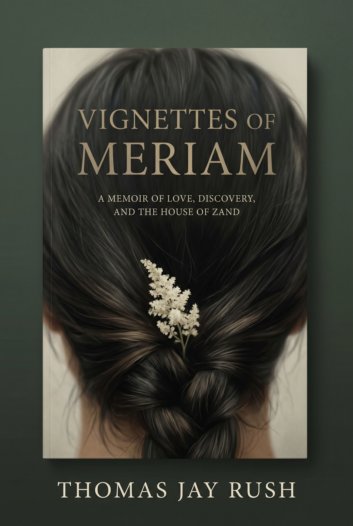 Cover of Vignettes of Meriam